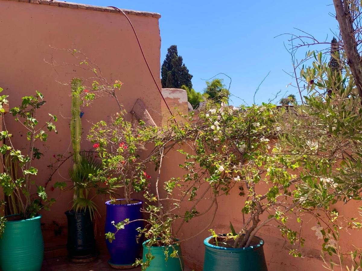 Dar Zemrane Hotel Marrakesh Bagian luar foto