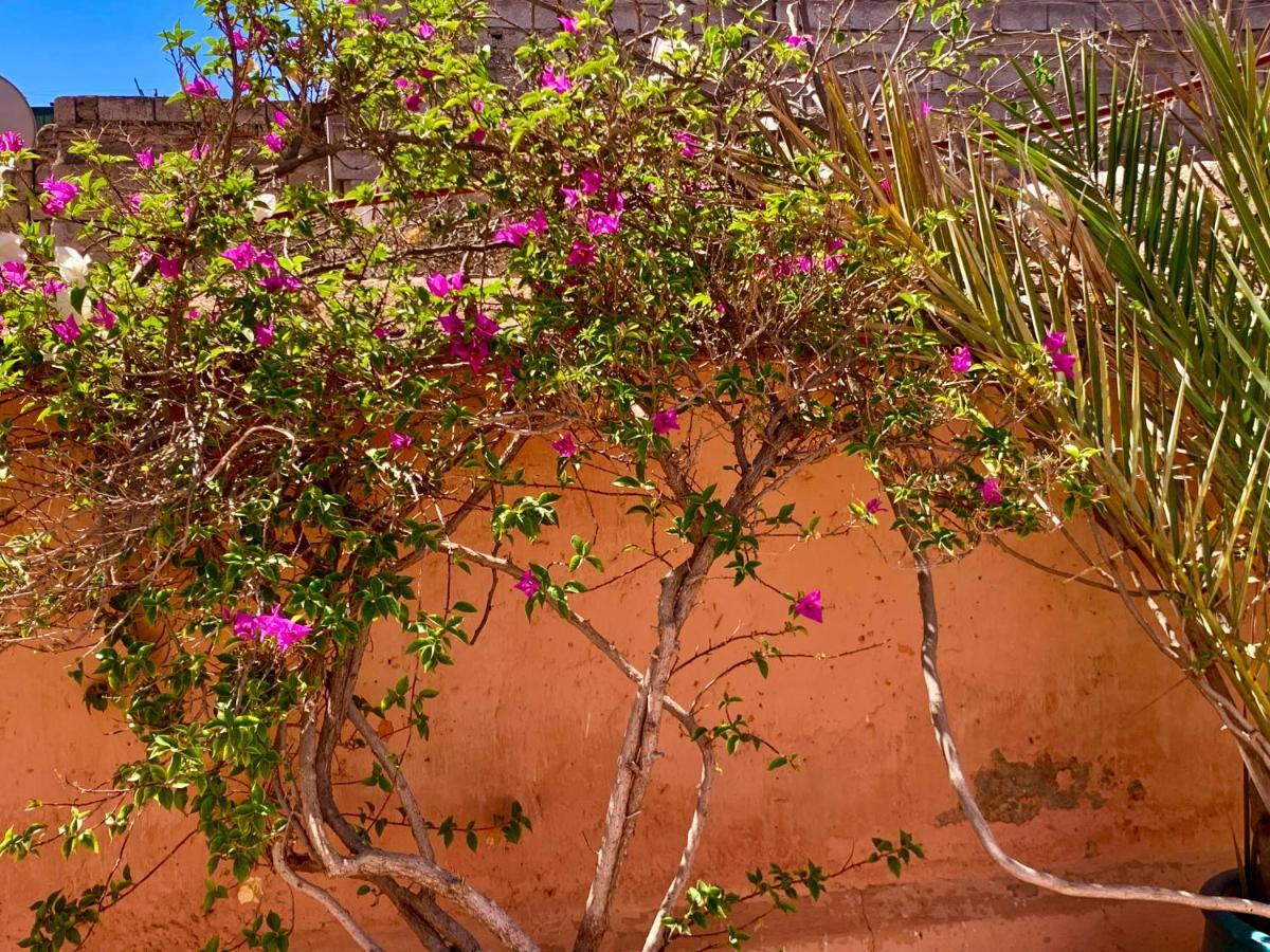 Dar Zemrane Hotel Marrakesh Bagian luar foto