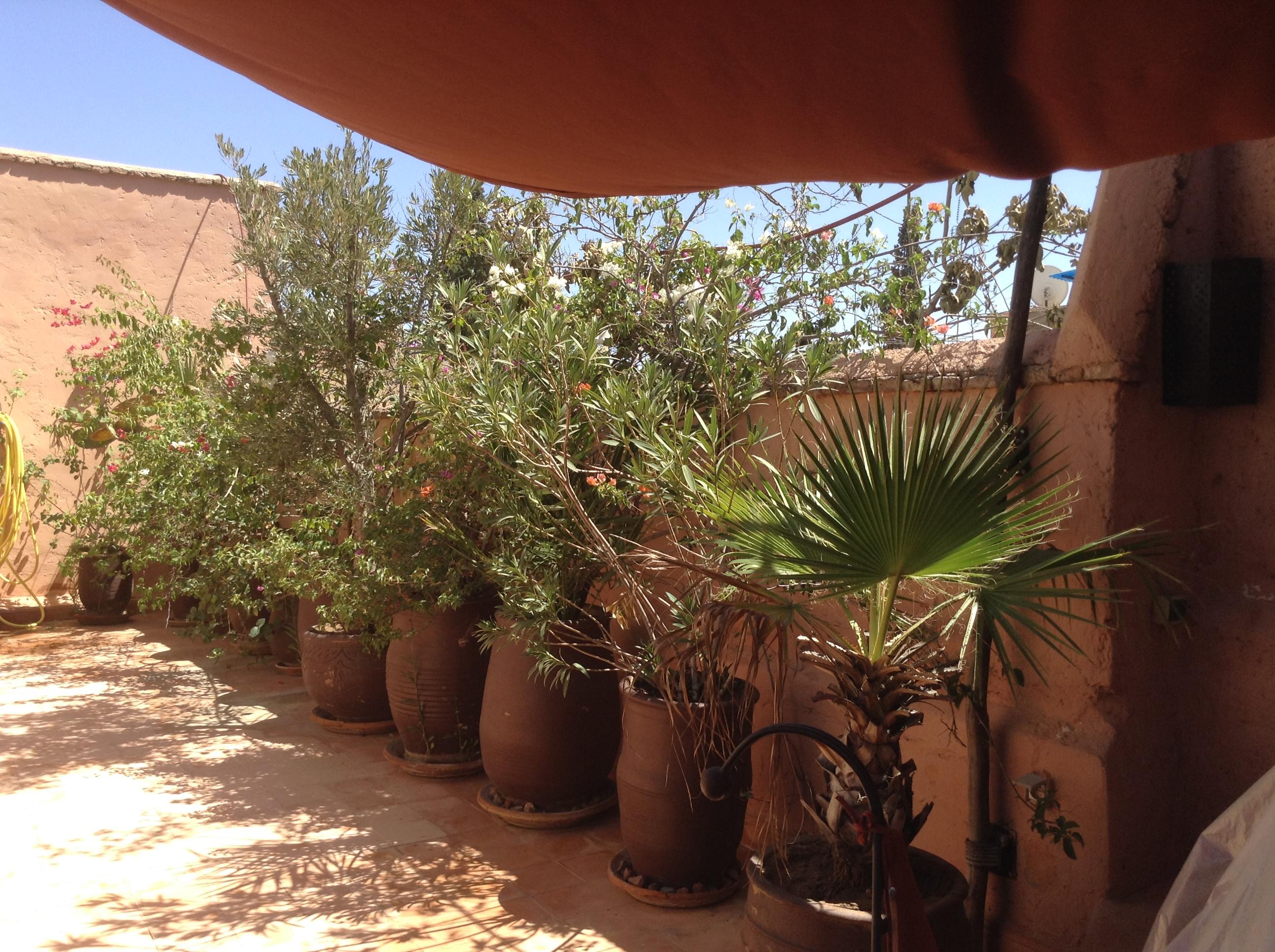 Dar Zemrane Hotel Marrakesh Bagian luar foto