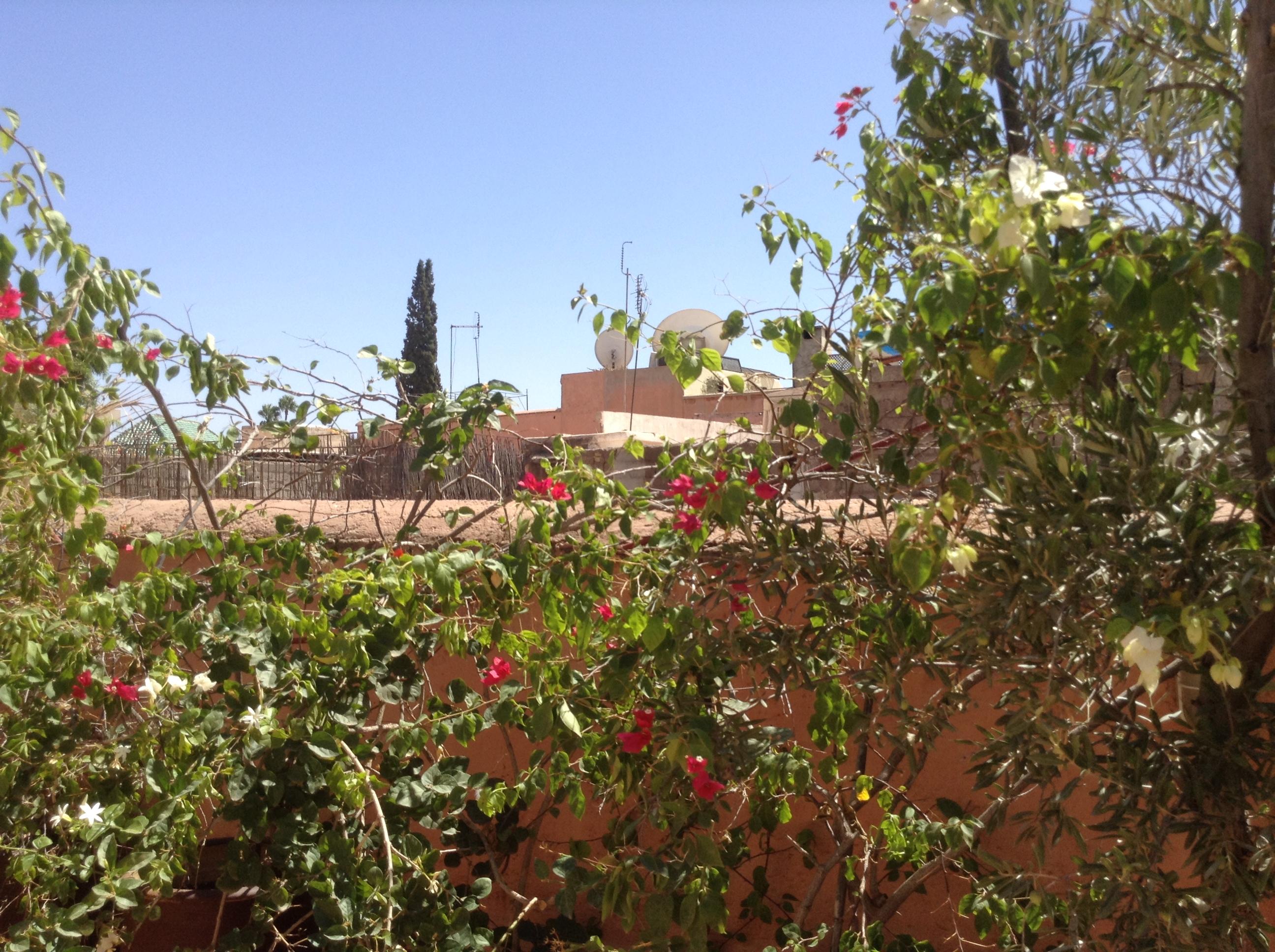Dar Zemrane Hotel Marrakesh Bagian luar foto