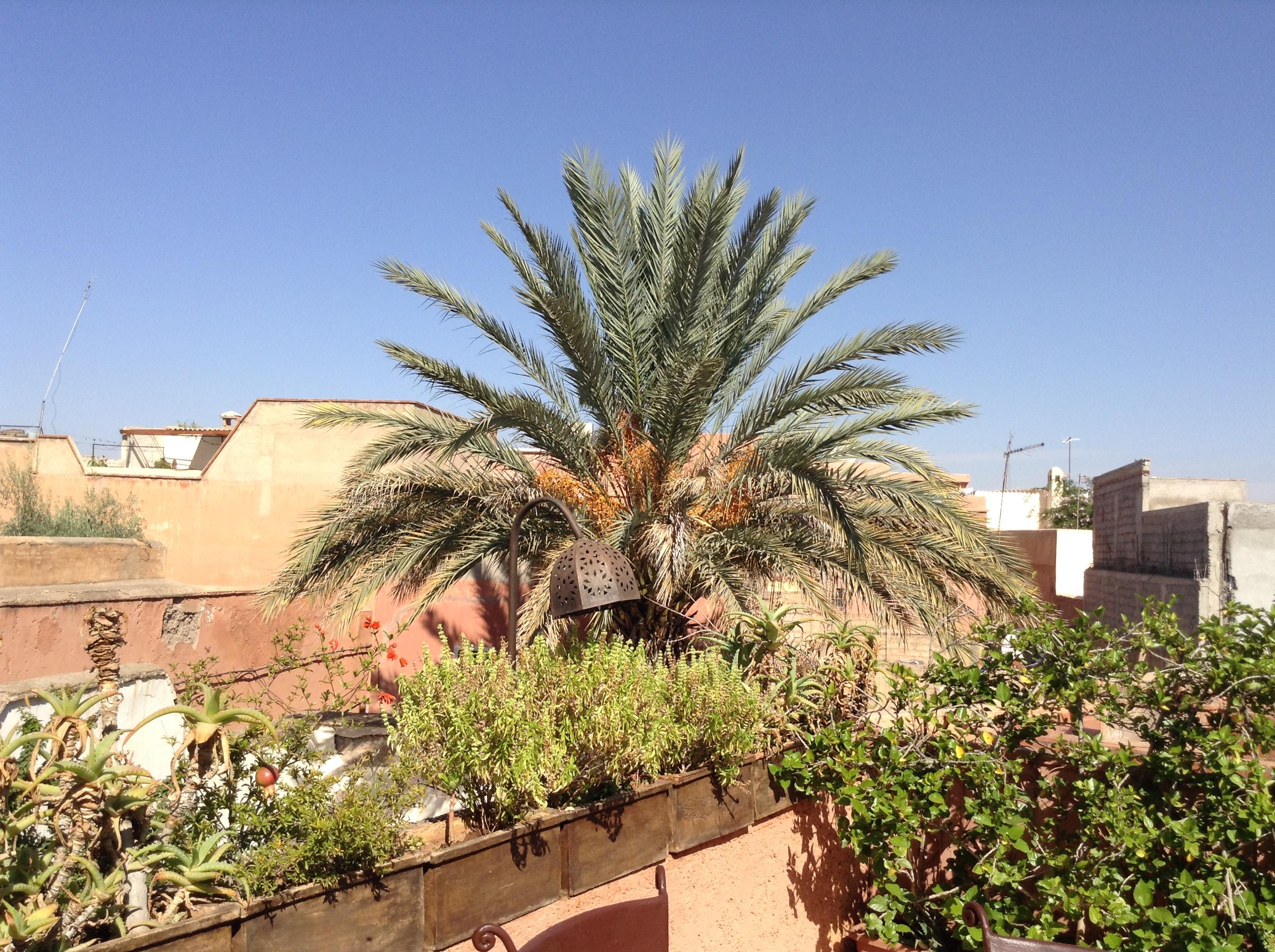 Dar Zemrane Hotel Marrakesh Bagian luar foto